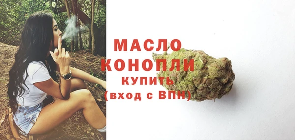 соль ск Няндома