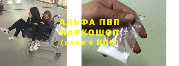 сатива Осташков